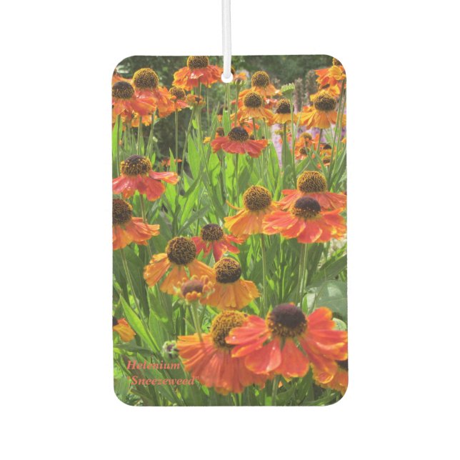 Helenium "Sneezeweed" Air Freshener (Front)
