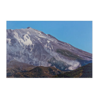 Helen's Scars Acrylic Print