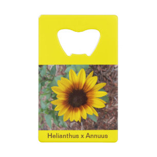 Helianthus Annuus bottle opener
