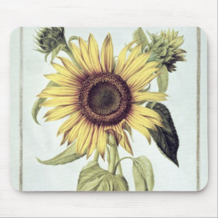 Helianthus Annuus from 'Velins du Roi Vol.36' Mouse Pad