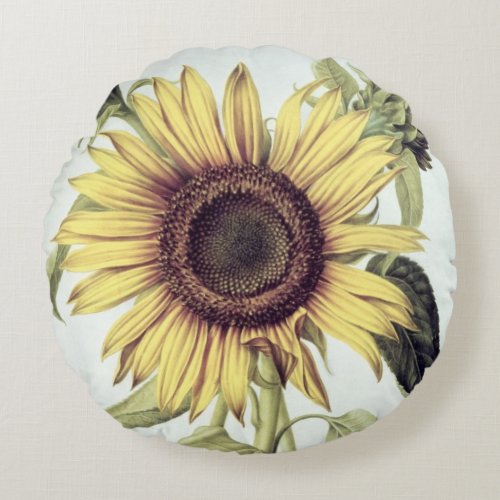 Helianthus Annuus from Velins du Roi Vol36 Round Pillow