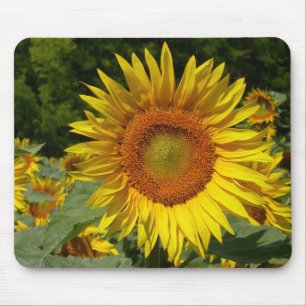 Helianthus annuus mouse pad