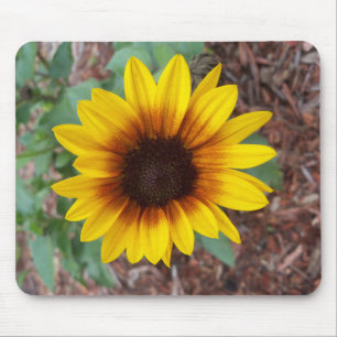 Helianthus Annuus Mouse Pad