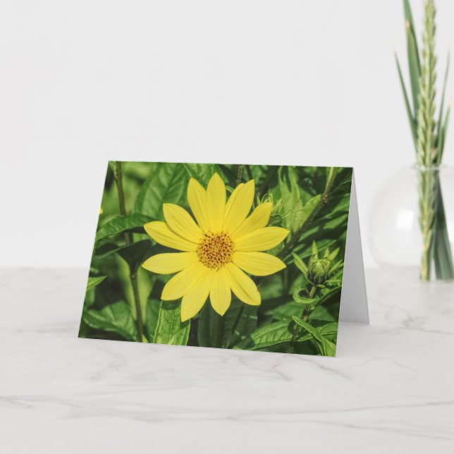 Helianthus 'Lemon Queen' Sunflower Card (Front)