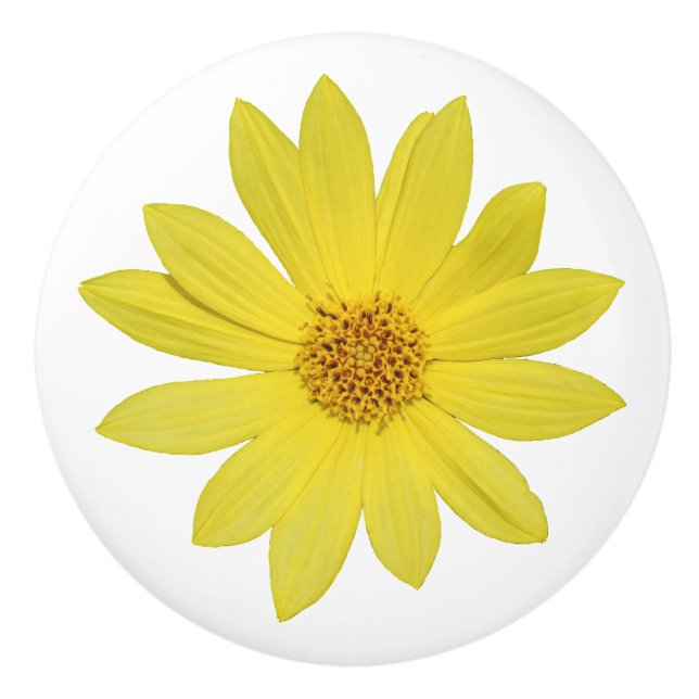 Helianthus 'Lemon Queen' Sunflower (isolated) Ceramic Knob (Front)