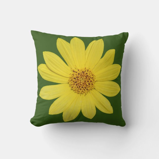 Helianthus 'Lemon Queen' Sunflower (isolated) Throw Pillow (Front)
