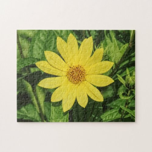 Helianthus Lemon Queen Sunflower Jigsaw Puzzle