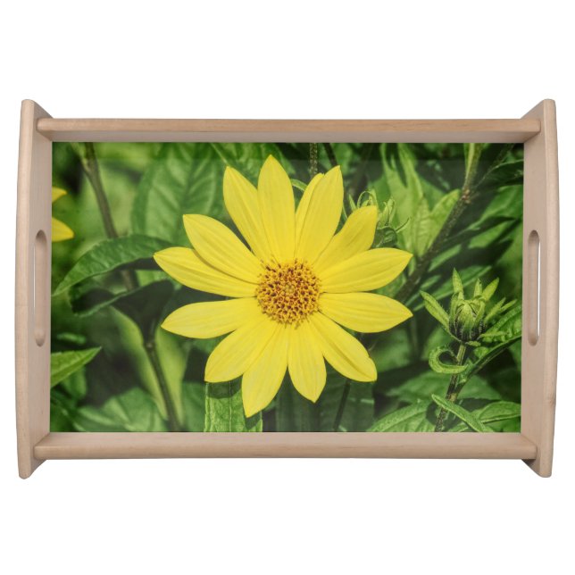 Helianthus 'Lemon Queen' Sunflower Serving Tray (Front)