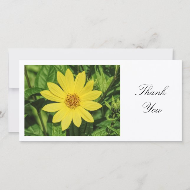 Helianthus 'Lemon Queen' Sunflower - Thank You Card (Front)