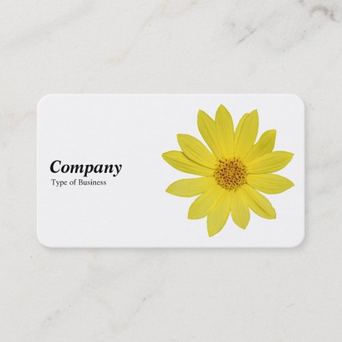 Helianthus Lemon Queen Sunflower _ White Business Card