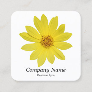 Helianthus 'Lemon Queen' Sunflower - White Square Business Card