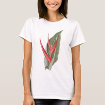 Heliconia 1800s Vintage Botanical T-Shirt