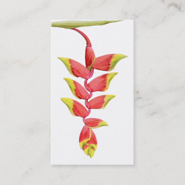 Heliconia Branch Profile Card (Front)