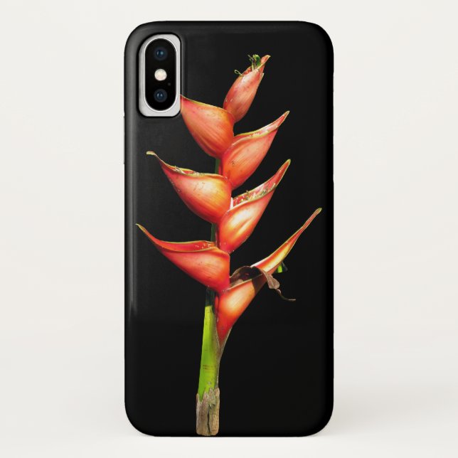 Heliconia iPhone Case (Back)