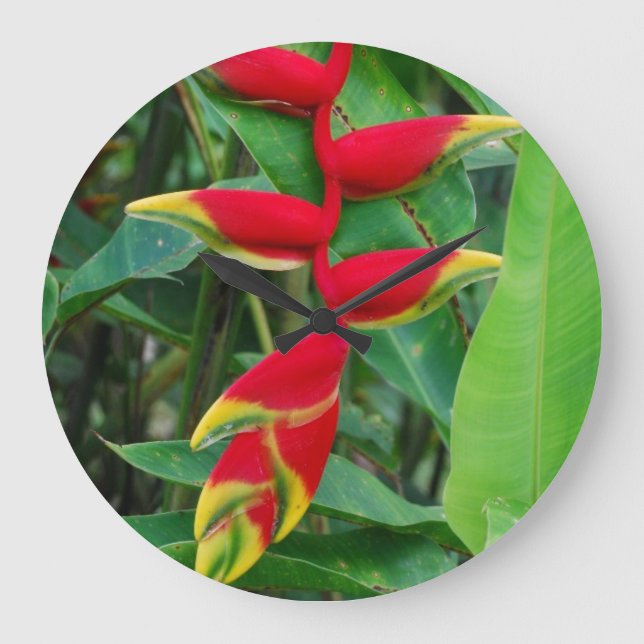 Heliconia Large Clock (Front)