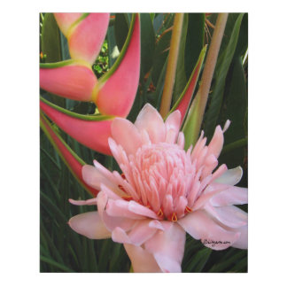 Heliconia Pink Torch Ginger Faux Wrapped Canvas