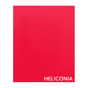 Heliconia red color name acrylic print