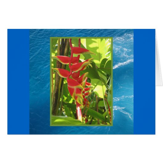 Heliconia rostrata cards (Front Horizontal)