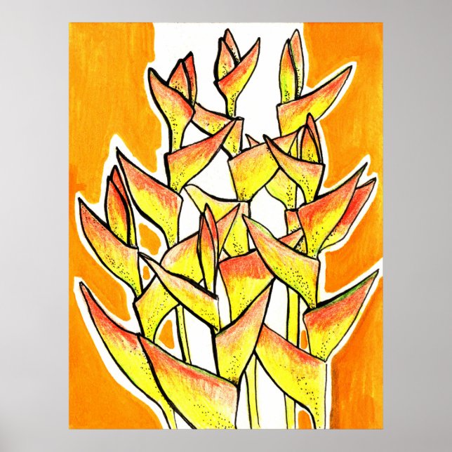 Heliconia Rostrata, Lobster Claw, tropical flowers Poster (Front)