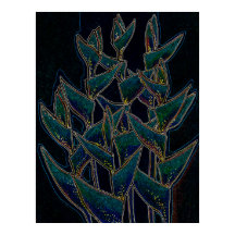 Heliconia Rostrata Tropical Plant Floral Art Black