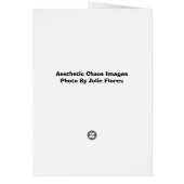 Helicopter at Sunset (Back)