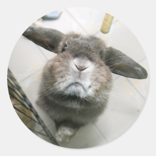 Helicopter bun (sticker) classic round sticker