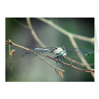 Helicopter Pilot Dragon Fly Cards