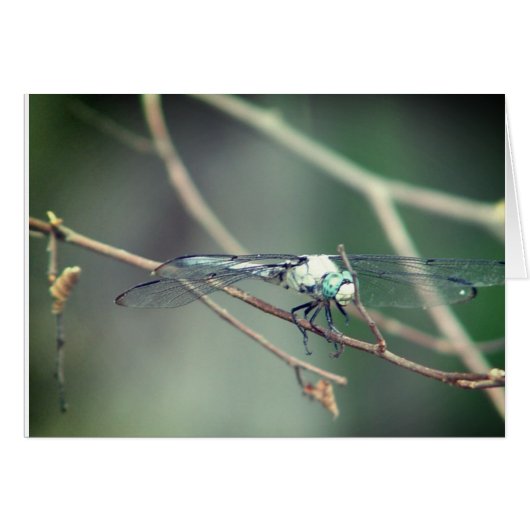 Helicopter Pilot Dragon Fly Cards (Front Horizontal)