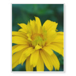 Heliopsis Flowers Temporary Tattoos