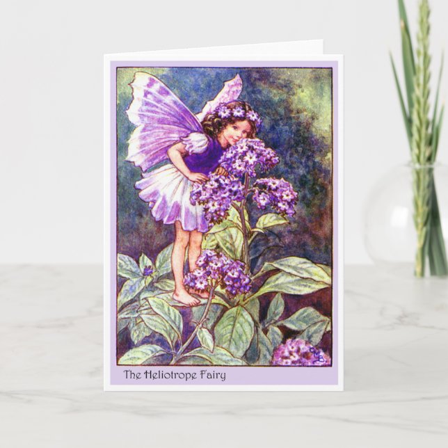Heliotrope Fairy Card (Front)