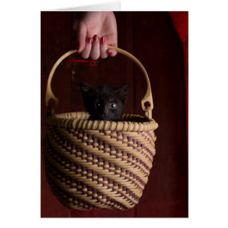 Hell in a handbasket