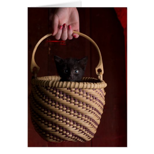 Hell in a handbasket cards (Front)