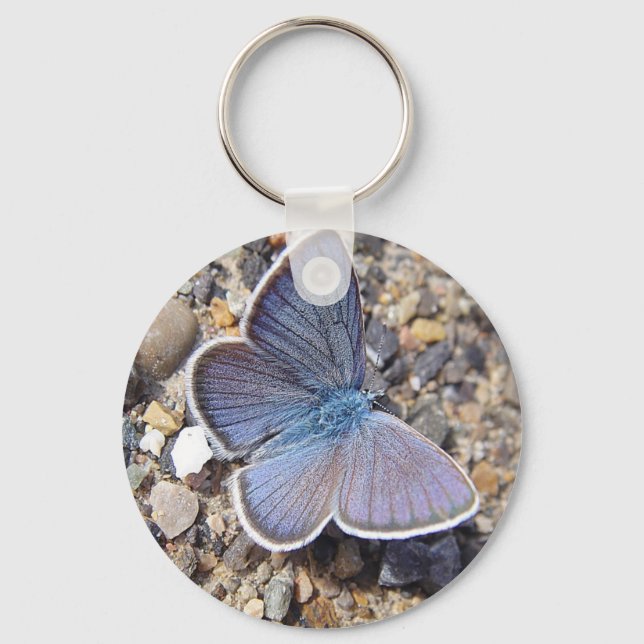 Hellblauer Schmetterling Keychain (Front)