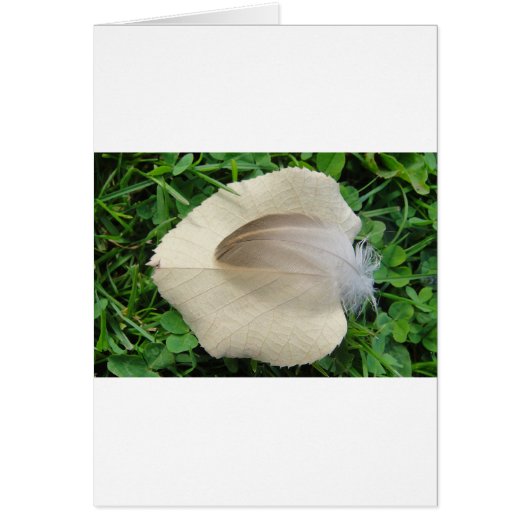 Hellbraune Feder auf hellbeigem Blatt Cards (Front)