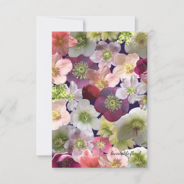 Hellebore Collage  Note Card (Front)