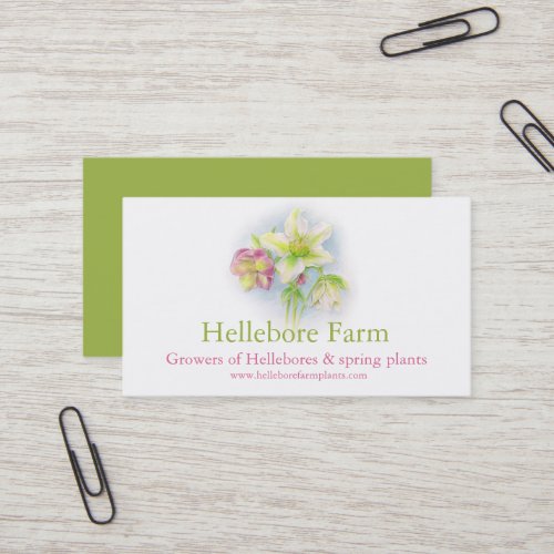 Hellebore farm plant suppliers business card