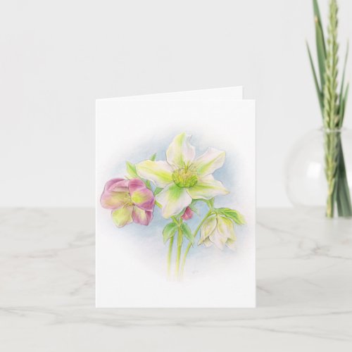 Hellebore floral white pink green Easter card