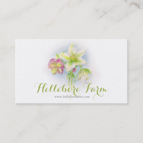 Hellebore flower art farm business card