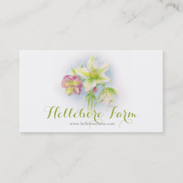 Hellebore flower art farm business card (Front)
