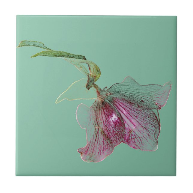 Hellebore flower on mint green turquoise ceramic tile (Front)