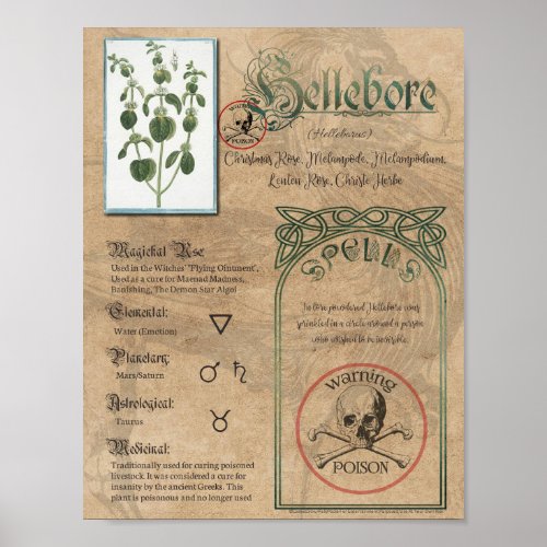 Hellebore Herbal Book of Shadows Pagan Wiccan Poster