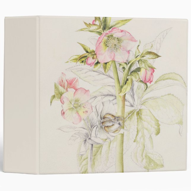 Hellebores 3 Ring Binder (Front/Spine)
