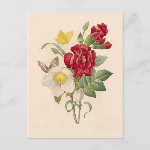 Hellebores and Carnations by Pierre_Joseph Redout Postcard