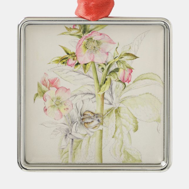 Hellebores Metal Ornament (Front)