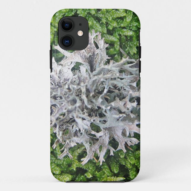 Hellgraue Flechte auf hübschem Moos Case-Mate iPhone Case (Back)