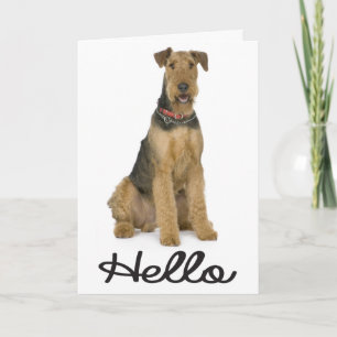 Hello Airedale Puppy Dog Card - Verse