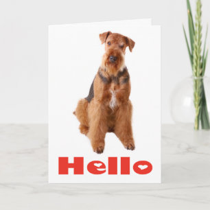 Hello Airedale Puppy Dog Friendship Card - Verse