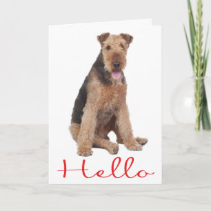 Hello Airedale Puppy Dog Greeting Card - Verse