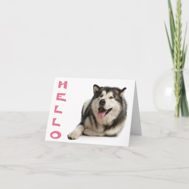 Hello Alaskan Malamute Puppy Dog  Note Card (Front)