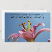 HELLO and HOPE all is well! Stationery Quick Note (Front/Back)